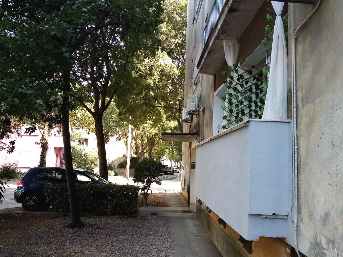 Apartment Puhov 扎达尔 外观 照片