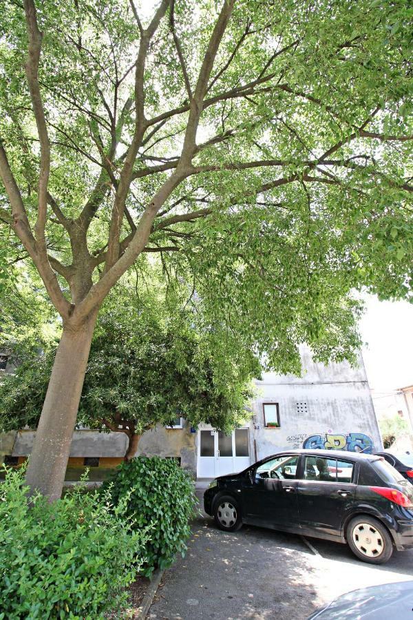 Apartment Puhov 扎达尔 外观 照片